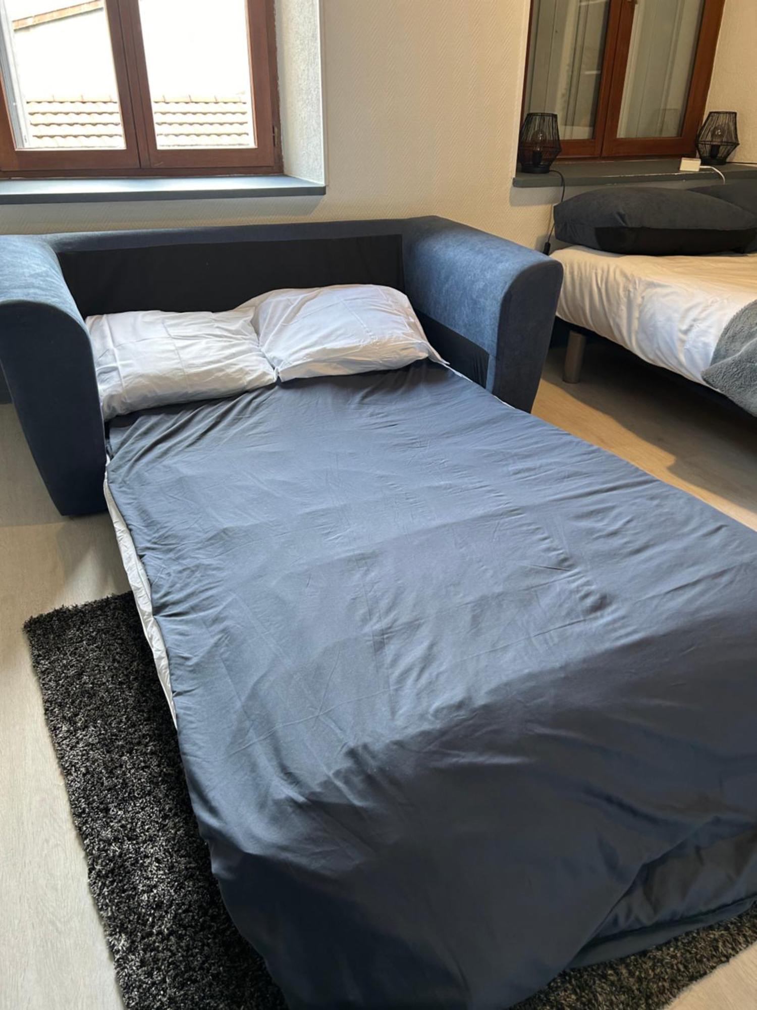Studio De 30M² Hypercentre Tres Calme Montbéliard Buitenkant foto